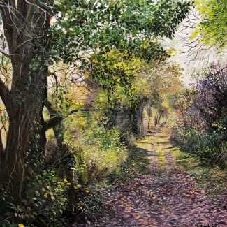 Hertfordshire Lane 