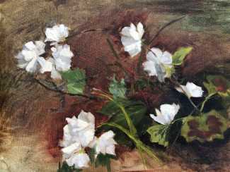 Blossom painted in oil